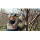 Sekator akumulatorowy Bosch Pro Pruner