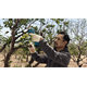 Sekator akumulatorowy Bosch Pro Pruner