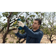 Sekator akumulatorowy Bosch Pro Pruner