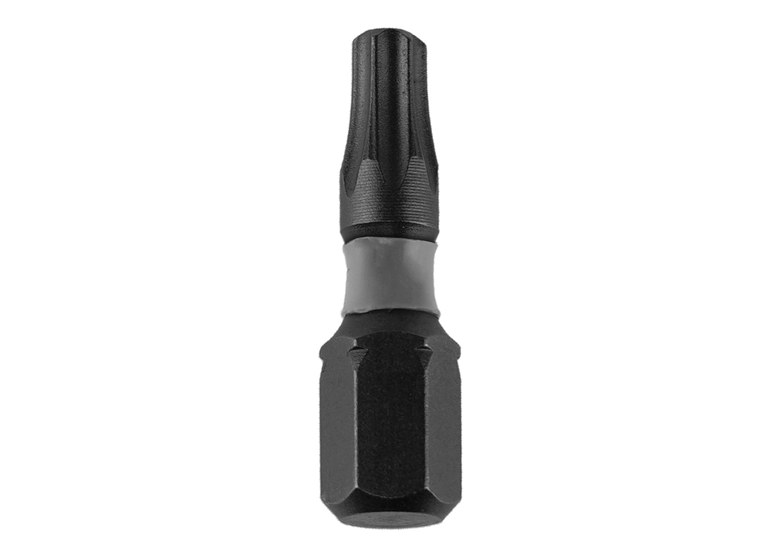 Końcówki wkrętakowe udarowe T40x25mm, 10szt. Dedra 18A53T400-10