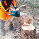 Pilarka łańcuchowa Makita XGT UC023GT101 1x5.0Ah