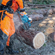 Pilarka łańcuchowa Makita XGT UC025GT101 1x5.0Ah